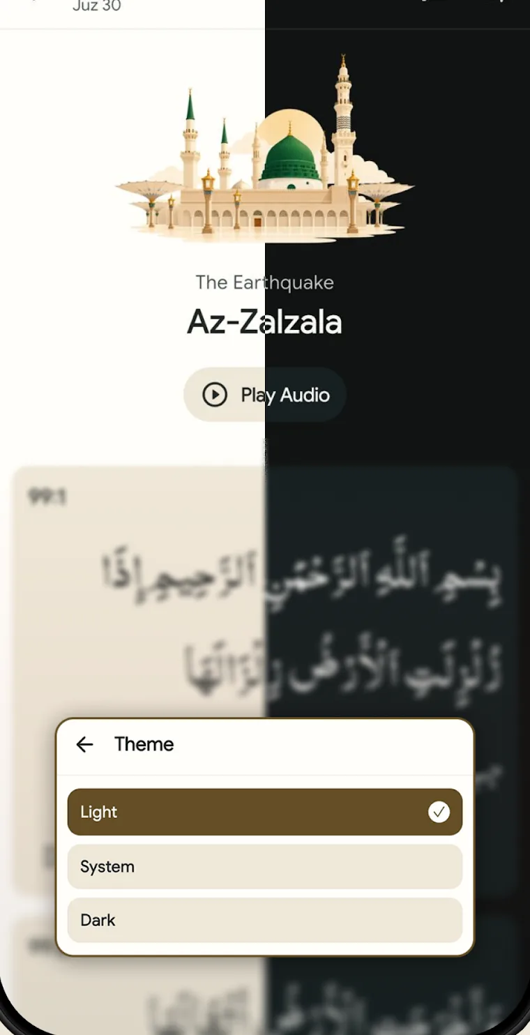 Theme picker with light, system and dark options over a split light and dark screen